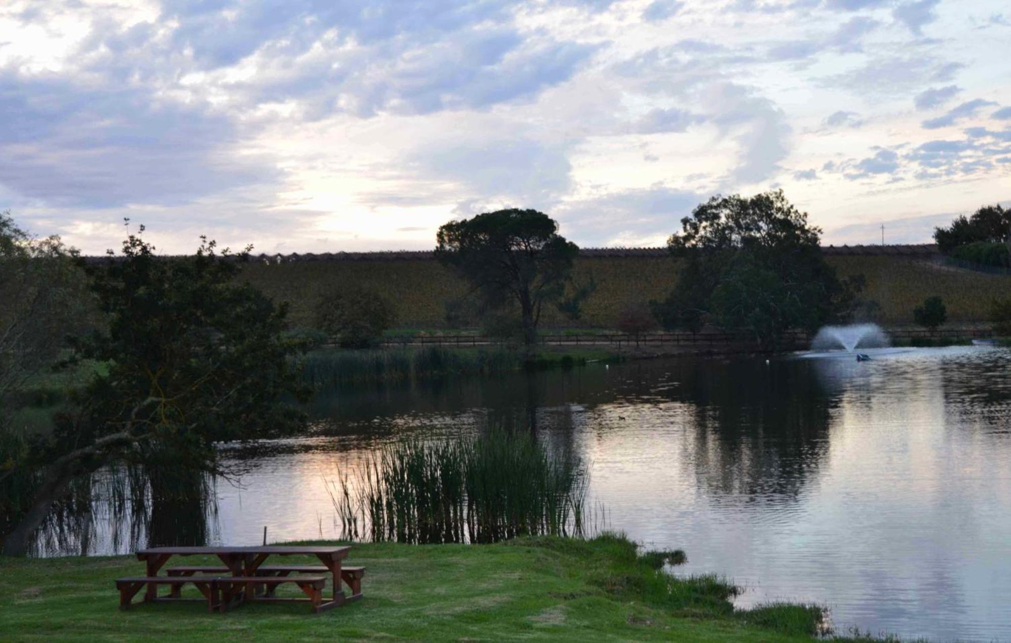 Under Oaks Guesthouse Paarl Chambre photo